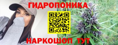 ПСИЛОЦИБИНОВЫЕ ГРИБЫ Азнакаево