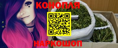 стаф Донецк