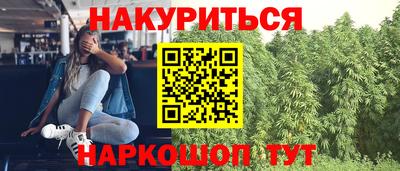 стаф Донецк