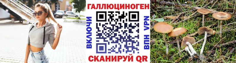 магазин Медногорск Галлюциногенные грибы ЛСД