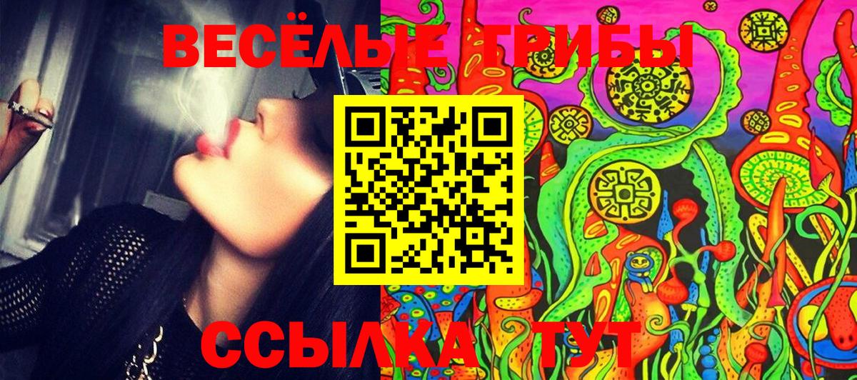 Галлюциногенные грибы MAGIC MUSHROOMS  Псилоцибиновые грибы GOLDEN TEACHER  Медногорск 