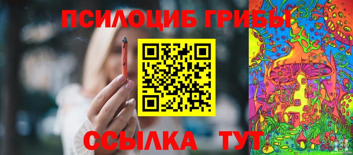 Медногорск  Псилоцибиновые грибы ЛСД  Вход с VPN  Галлюциногенные грибы Magic Shrooms 